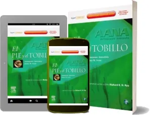 Leer libro Aana Artroscopia Avanzada. El Pie y el Tobillo y Dvd PDF + ePub