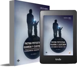 Descarga «Patria Potestad, Guarda y Custodia» de Carlos Lasarte Álvarez en español completo PDF 2022