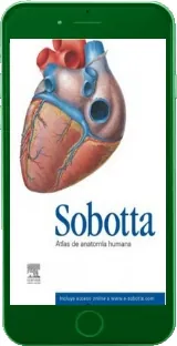 Google Books en PDF: Atlas de Anatomia Humana de Frederich Paulsen en Español EPUB, BMP, WORD, DOCX, PDF, TXT, RB, DOC FileFactory, Apple iCloud, KickAssTorents, Amazon Drive, Volafile, Racaty, DelaFil, WeTransfer, MediaFire, Dropbox | Kindle - iPad versión completa