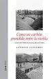 PDF Como un Carbón Prendido en la Niebla del autor Antonio Cisneros