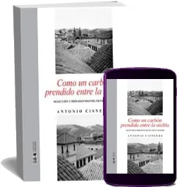 Descargar gratis Como un Carbón Prendido en la Niebla ePub por mega y 168 páginas