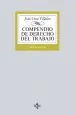 PDF Compendio de Derecho Del Trabajo del autor Jesús Cruz Villalón