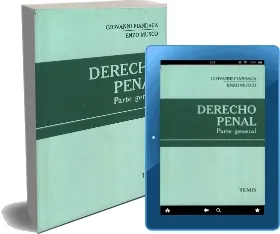 Drive Derecho Penal, Parte General ePub descargar 999 páginas
