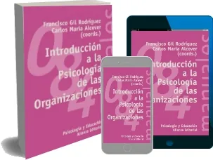 Cómo bajar Introducción a la Psicología de Las Organizaciones eBook de Francisco Gil Rodríguez + resumen