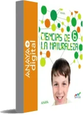 Ciencias de la Naturaleza 6. Natural Science 6. In Focus. Primaria. Anaya Descarga gratis en PDF 2022