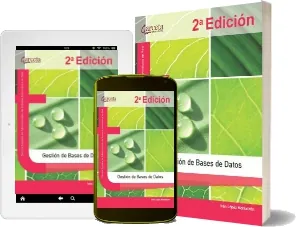 Gestión de Bases de Datos Libro online gratis descargar