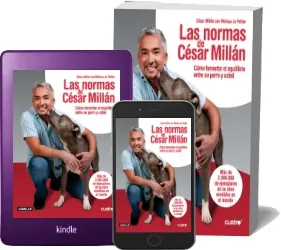Las Normas de César Millán PDF actualizado 1 link