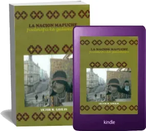 La Nación Mapuche Puelmapu ka Gulumapu Libro en PDF español