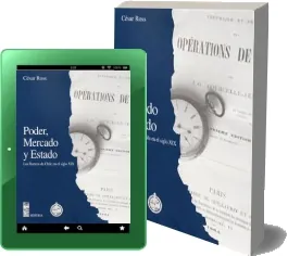 Libro gratis Poder, Mercado y Estado. Los Bancos de Chile en el Siglo Xix PDF descargar
