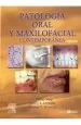 PDF Patologia Oral y Maxilofacial, 2 Edicion del autor J. Philip Sapp