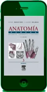 Descargar PDF Anatomia Humana. Rouviere. 4 Tomos editorial Elsevier