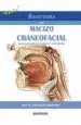 PDF Anatomia Del Macizo Craneofacial del autor Juan Suarez Quintanilla
