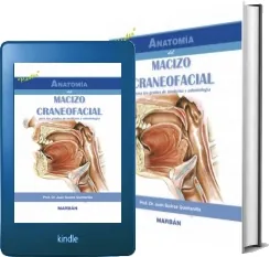 Anatomia Del Macizo Craneofacial Reseñas + descarga PDF