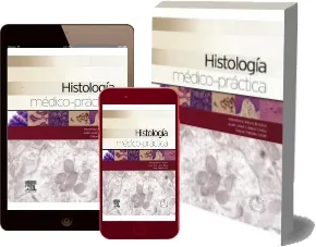 Histologia Medico- Practica eBook | Herminia Alicia Brusco | Descargar PDF + resumen