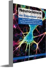 Descargar Neurociencia en Esquemas PDF Mega