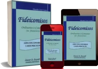 Descargar Fideicomisos Libro completo + resumen PDF edición 2022 + eBook MEGA, Dropbox, Google Drive, MediaFire, File4safe, Torrents.me, Torrent