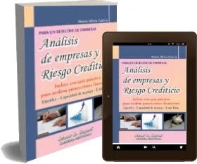 «Análisis de Empresas y Riesgo Crediticio» de María Alicia García Descargar libro completo gratis 2022 Google Drive