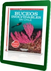 Descargar actualizado en PDF Buceos Inolvidables en Chile Google Drive