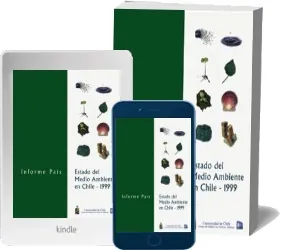 Informe 1999 PDF para imprimir Mega