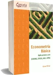 Econometría Básica Descarga PDF español Google Drive