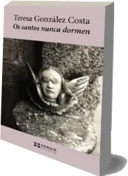 Libro Os Santos Nunca Dormen leer online PDF + resumen