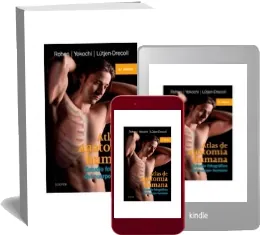 Bajar Rohen Atlas de Anatomia Humana. Memorama de Joel a. Viensky Libro completo 450 páginas | Sin registro MejorTorrent, MEGA, Apple iCloud, Megaup, WeTransfer, DropSend, SendSpace, Dropbox, Microsoft OneDrive, FilesToFriends 2022