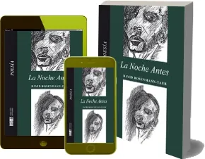 Drive La Noche antes PDF descargar de David Rosenmann Taub 238 páginas de la editorial Lom