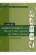 PDF Atlas de Abordajes Quirurgicos a Los Huesos y Articulaciones del autor Donald l. Piermattei