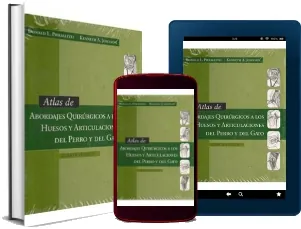 Bajar gratis Atlas de Abordajes Quirurgicos a Los Huesos y Articulaciones Libro completo + resumen PDF | Free