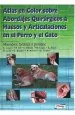PDF Atlas en Color sobre Abordajes Quirurgicos a Huesos y Articulaciones en el Perro y el Gato del autor Rafael Latorre