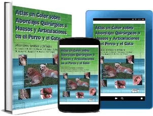 Bajar eBook gratuito Atlas en Color sobre Abordajes Quirurgicos a Huesos y Articulaciones en el Perro y el Gato Mega