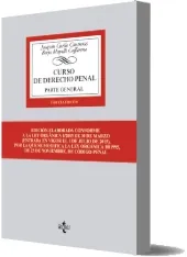 Curso de Derecho Penal eBook para leer + resumen