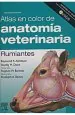 PDF Atlas en Color de Anatomia Veterinaria. Rumiantes del autor Raymond Ashdown