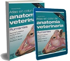 Descargar «Atlas en Color de Anatomia Veterinaria. Rumiantes» PDF Español | Raymond Ashdown 2022 Mega