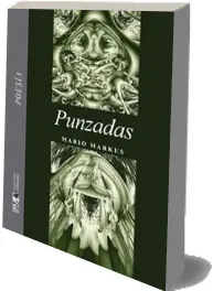 Punzadas autor Mario Markus PDF online + resumen