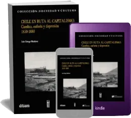 Descargar «Chile en Ruta al Capitalismo: Cambio, Euforia y Depresión» de Luis Ortega en PDF 2023 Mega