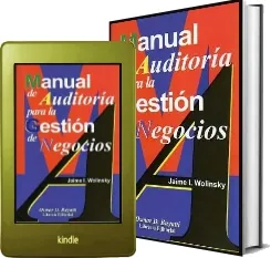 Dónde descargar Manual de Auditoría para la Gestión de Negocios ePub + resumen