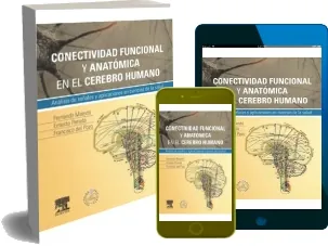 Conectividad Funcional y Anatomica en el Cerebro Humano. Analisis de Señales y Aplicaciones en Ciencias... descargar gratis en idioma Español