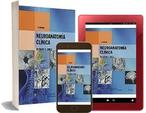 Descargar PDF Neuroanatomia Clinica, 7ma ed. completo gratis Google Drive