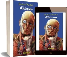 Descargar «Student Master - Atlas de Anatomia» PDF actualizado 2023 + eBook