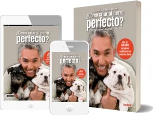 Descargar PDF Cómo Criar al Perro Perfecto edición actualizada