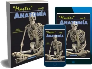 Descargar ePub «Master Evo 7 Anatomia» de Jordi Rancaño Ferreiro 2022 + resumen