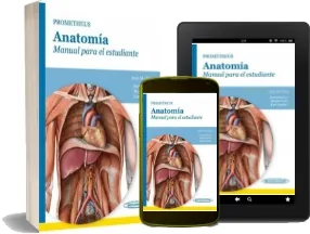 Prometheus Anatomia. Manual para el Estudiante Libro online PDF
