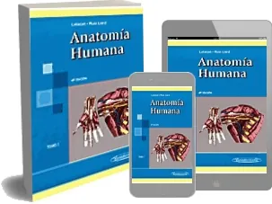 Anatomia Humana Descargar (PDF) online y resumen