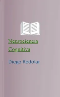 Leer Neurociencia Cognitiva completo PDF + resumen