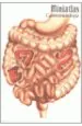 PDF Gastroenterologia- Miniatlas del autor Luis Raul Lepori