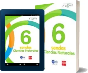 Bajar Ciencias Naturales. 6 Básico. Clave Sendas. Texto de Ediciones sm Libro completo 96 páginas 