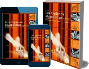 Las Cadenas Musculares - Tomo vi Leer y descargar PDF + eBook
