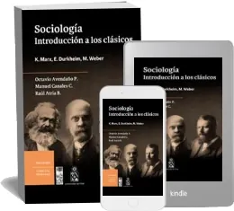 Sociología. Introducción a Los Clásicos PDF descargar gratis + resumen