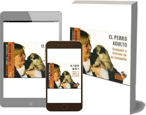 Leer El Perro Adulto en español + resumen